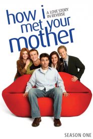 How I Met Your Mother Phần 1