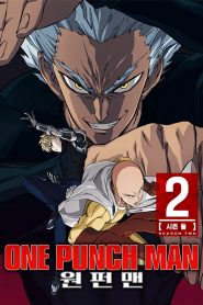 One Punch Man 2